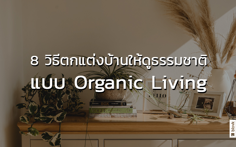 8 วิธีตกแต่งบ้านให้ดูธรรมชาติแบบ Organic Living